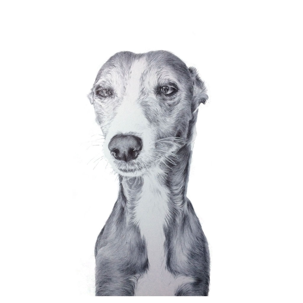 pet portraits, dog commission art