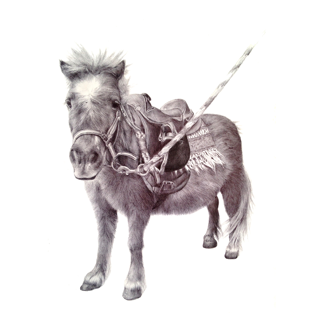 horse portrait, commission art