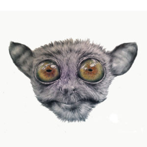 cute animal drawings in biro jess harris artwork