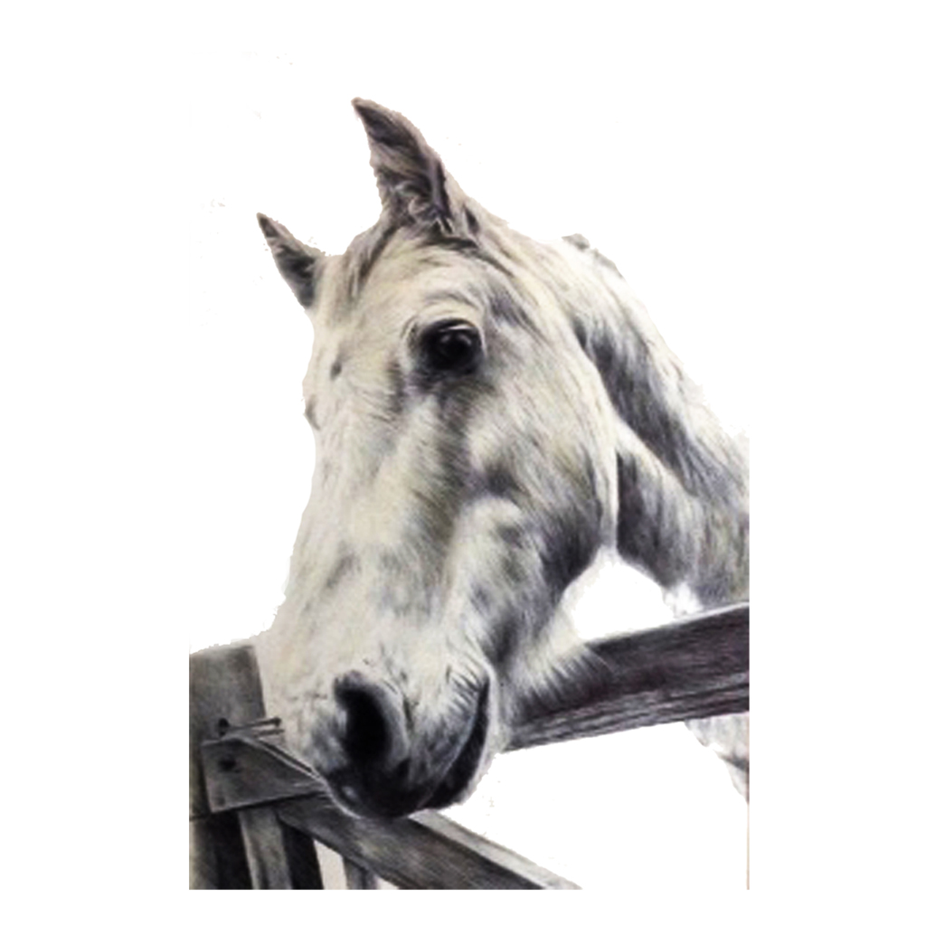 horse portrait commission art