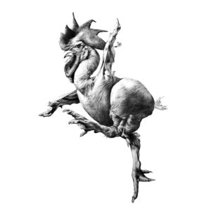 chicken portraits biro art jess harris artwork