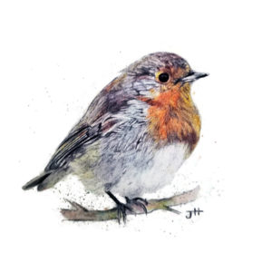 robin colourful drawing by jess harris artwork