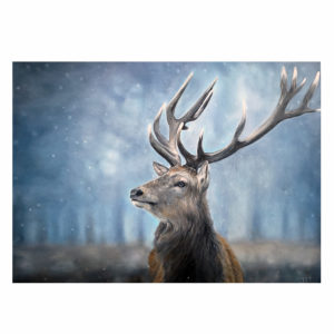 stag in woods painting by jess harris artwork