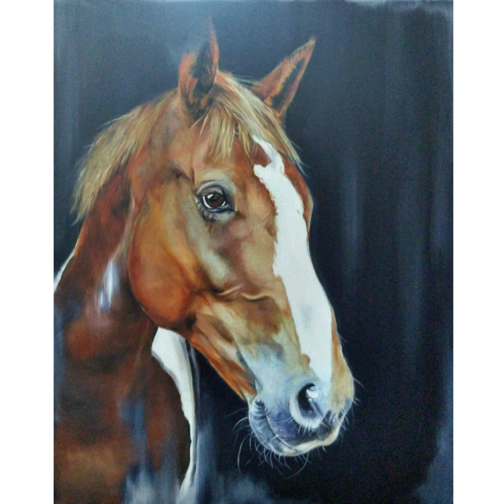 jess harris artwork horse portrait