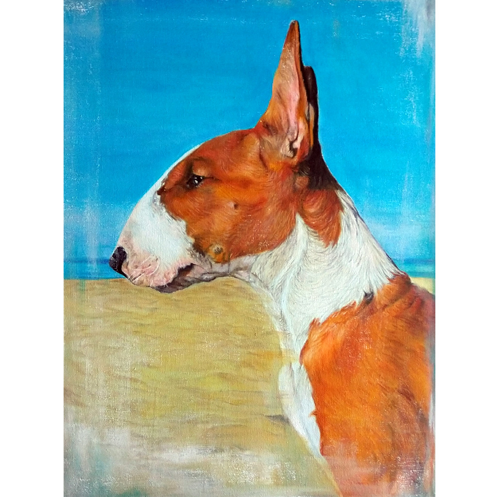 jess harris artwork dog portrait
