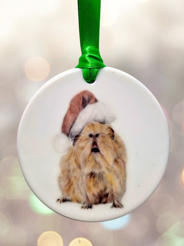 guinea pig ornament, christmas