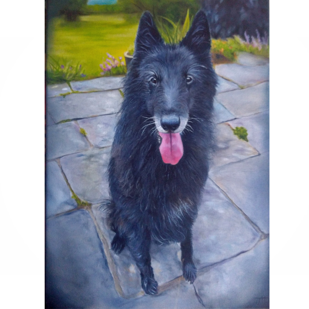 jess harris artwork, pet portraits, bournemouth