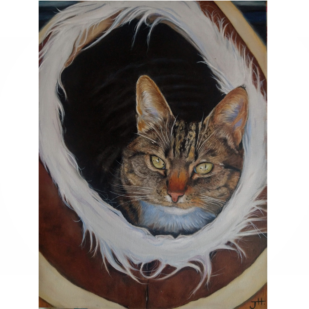 jess harris artwork, people and pet portraits, bournemouth