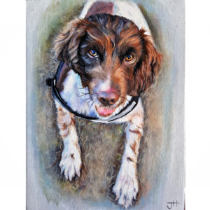 jess harris artwork, people and pet portraits, bournemouth