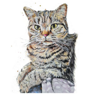 jess harris artwork, people and pet portraits cat drawing