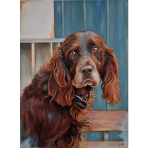commssioned pet portrait by jess harris