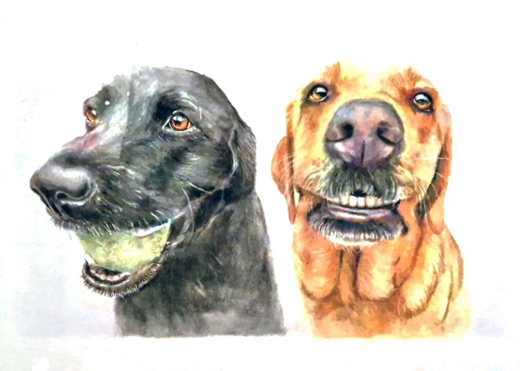 Dog portraits Bournemouth, Jess Harris Artwork